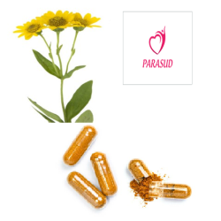 GELULES d'Arnica chamissonis 220 mg