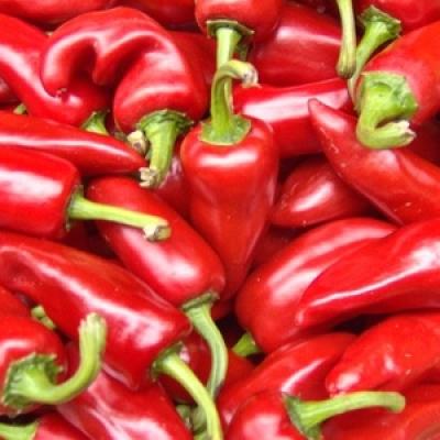 GELULES de Piment BIO